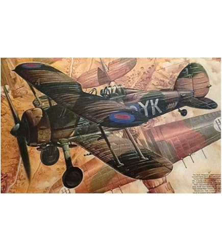 Amazon | ローデン 1/48 WW1 イギリス陸軍航空隊 エアコー(デ